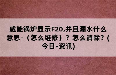 威能锅炉显示F20,并且漏水什么意思-（怎么维修）？怎么消除？(今日-资讯)