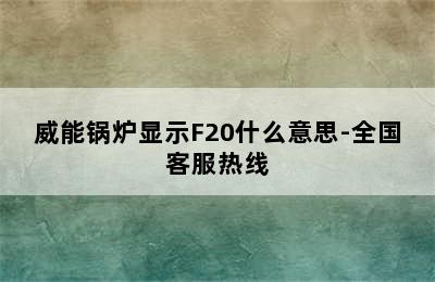 威能锅炉显示F20什么意思-全国客服热线