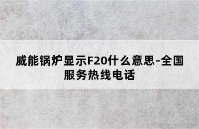 威能锅炉显示F20什么意思-全国服务热线电话