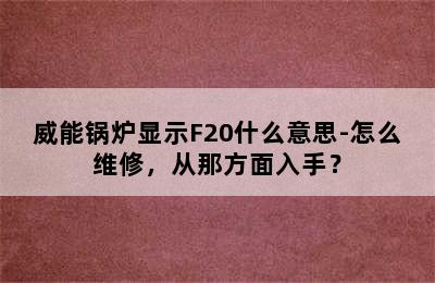 威能锅炉显示F20什么意思-怎么维修，从那方面入手？