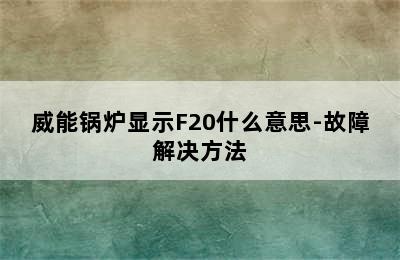 威能锅炉显示F20什么意思-故障解决方法