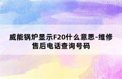 威能锅炉显示F20什么意思-维修售后电话查询号码