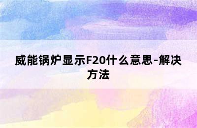 威能锅炉显示F20什么意思-解决方法