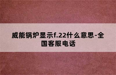 威能锅炉显示f.22什么意思-全国客服电话