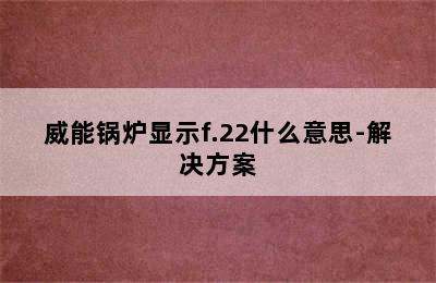 威能锅炉显示f.22什么意思-解决方案