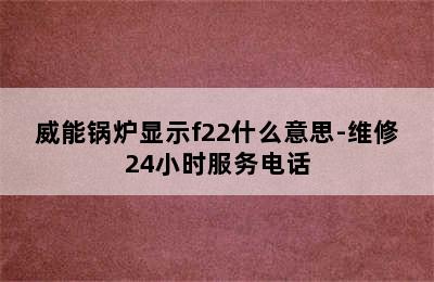 威能锅炉显示f22什么意思-维修24小时服务电话