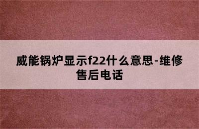 威能锅炉显示f22什么意思-维修售后电话