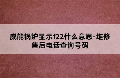 威能锅炉显示f22什么意思-维修售后电话查询号码