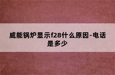 威能锅炉显示f28什么原因-电话是多少