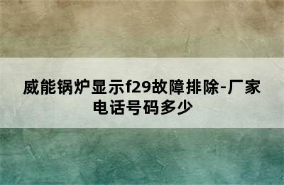 威能锅炉显示f29故障排除-厂家电话号码多少