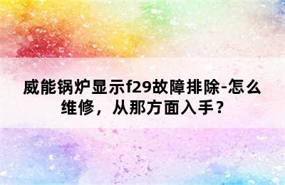 威能锅炉显示f29故障排除-怎么维修，从那方面入手？