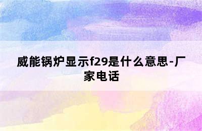 威能锅炉显示f29是什么意思-厂家电话