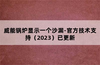 威能锅炉显示一个沙漏-官方技术支持（2023）已更新