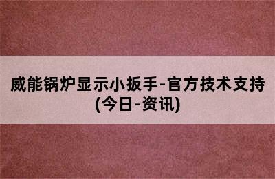 威能锅炉显示小扳手-官方技术支持(今日-资讯)