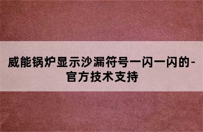 威能锅炉显示沙漏符号一闪一闪的-官方技术支持