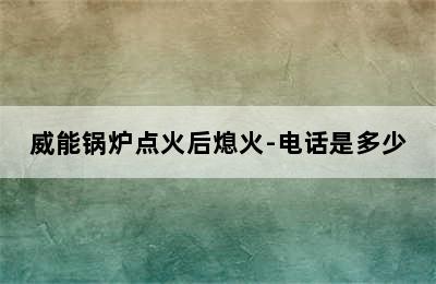 威能锅炉点火后熄火-电话是多少