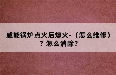 威能锅炉点火后熄火-（怎么维修）？怎么消除？