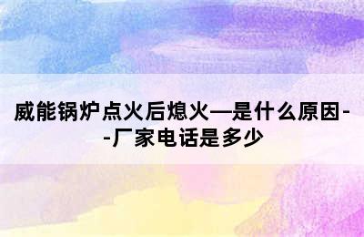 威能锅炉点火后熄火—是什么原因--厂家电话是多少