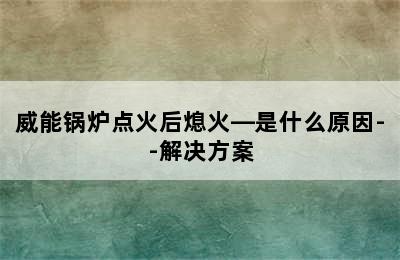 威能锅炉点火后熄火—是什么原因--解决方案