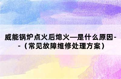 威能锅炉点火后熄火—是什么原因--（常见故障维修处理方案）