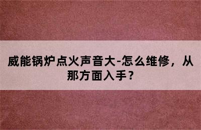 威能锅炉点火声音大-怎么维修，从那方面入手？