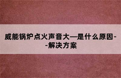 威能锅炉点火声音大—是什么原因--解决方案