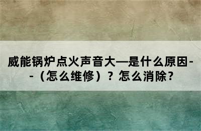 威能锅炉点火声音大—是什么原因--（怎么维修）？怎么消除？