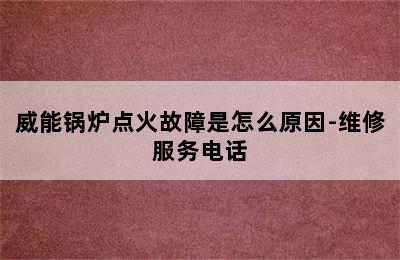 威能锅炉点火故障是怎么原因-维修服务电话