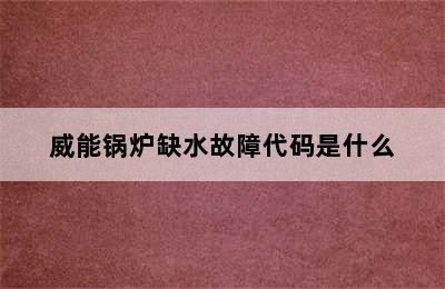 威能锅炉缺水故障代码是什么