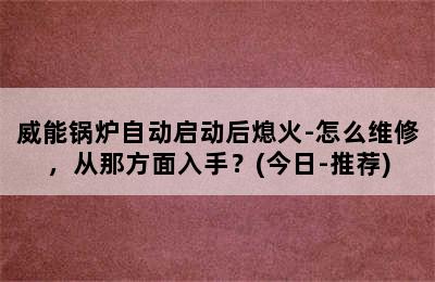 威能锅炉自动启动后熄火-怎么维修，从那方面入手？(今日-推荐)