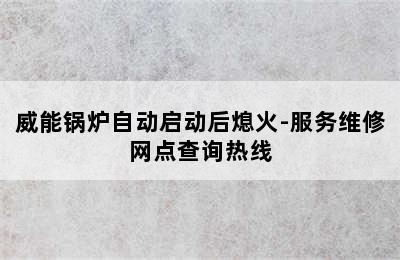 威能锅炉自动启动后熄火-服务维修网点查询热线