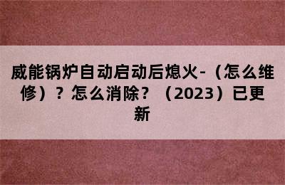 威能锅炉自动启动后熄火-（怎么维修）？怎么消除？（2023）已更新