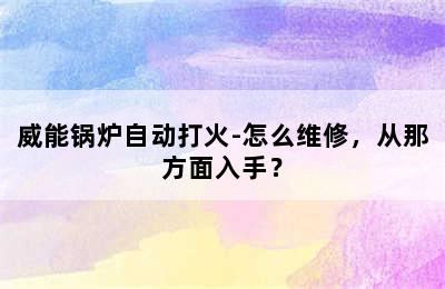 威能锅炉自动打火-怎么维修，从那方面入手？