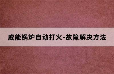 威能锅炉自动打火-故障解决方法