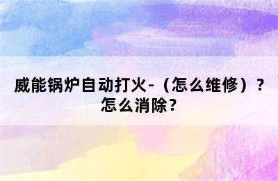 威能锅炉自动打火-（怎么维修）？怎么消除？