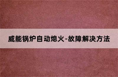 威能锅炉自动熄火-故障解决方法