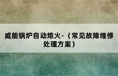 威能锅炉自动熄火-（常见故障维修处理方案）