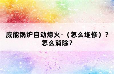 威能锅炉自动熄火-（怎么维修）？怎么消除？