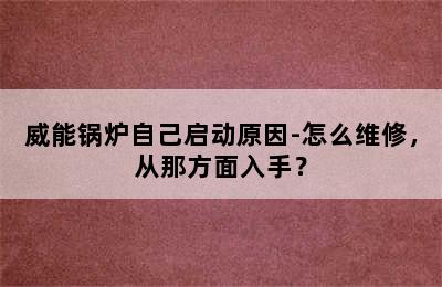 威能锅炉自己启动原因-怎么维修，从那方面入手？