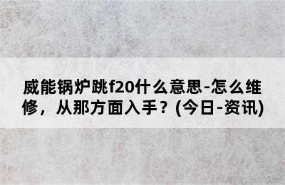 威能锅炉跳f20什么意思-怎么维修，从那方面入手？(今日-资讯)