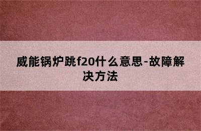 威能锅炉跳f20什么意思-故障解决方法