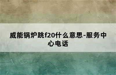 威能锅炉跳f20什么意思-服务中心电话