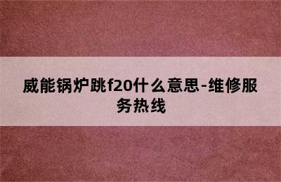 威能锅炉跳f20什么意思-维修服务热线