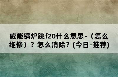 威能锅炉跳f20什么意思-（怎么维修）？怎么消除？(今日-推荐)