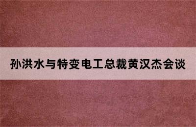 孙洪水与特变电工总裁黄汉杰会谈