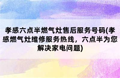 孝感六点半燃气灶售后服务号码(孝感燃气灶维修服务热线，六点半为您解决家电问题)