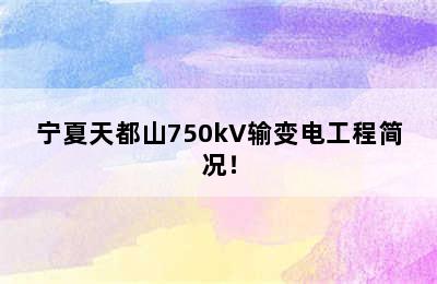 宁夏天都山750kV输变电工程简况！