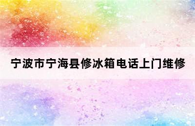 宁波市宁海县修冰箱电话上门维修