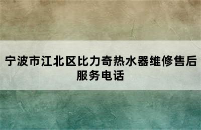 宁波市江北区比力奇热水器维修售后服务电话