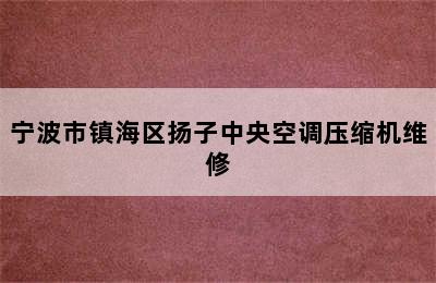 宁波市镇海区扬子中央空调压缩机维修